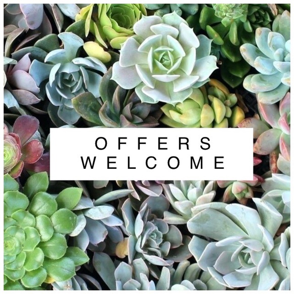 🌿 O F F E R 🌿 - Picture 4 of 5